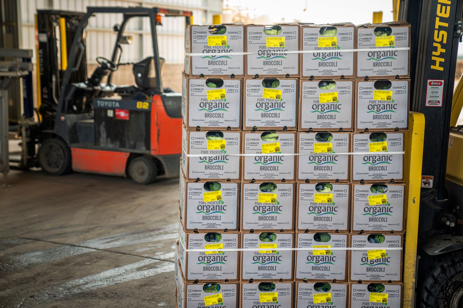 Stacked produce cartons beside forklifts in a warehouse.